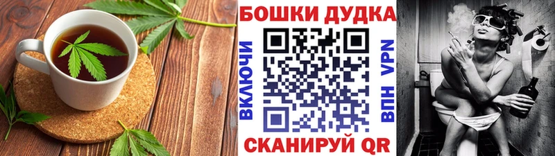 omg онион Мамадыш Canna-Cookies конопля