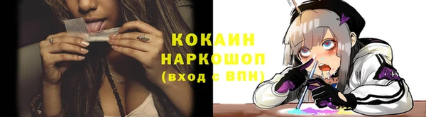 PSILOCYBIN Михайлов