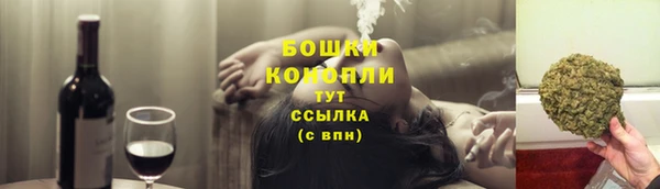дживик Надым