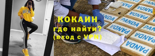 дживик Надым