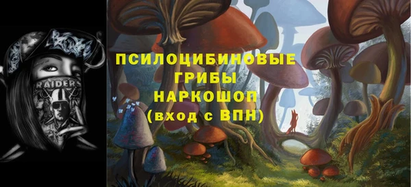 дживик Вязьма