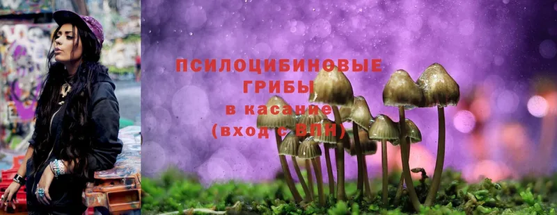 где можно купить наркотик  Мамадыш  Галлюциногенные грибы Magic Shrooms 